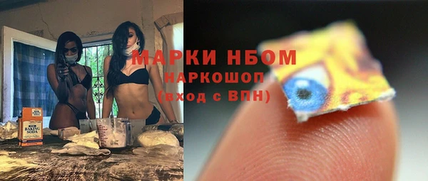 шишки Арсеньев