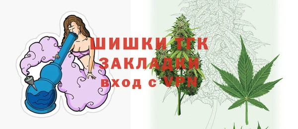 сатива Аркадак