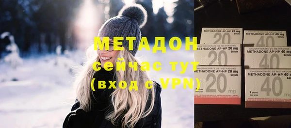 шишки Арсеньев