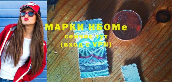 шишки Арсеньев