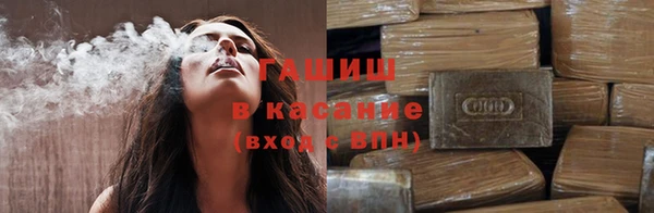 сатива Аркадак
