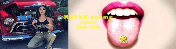 шишки Арсеньев