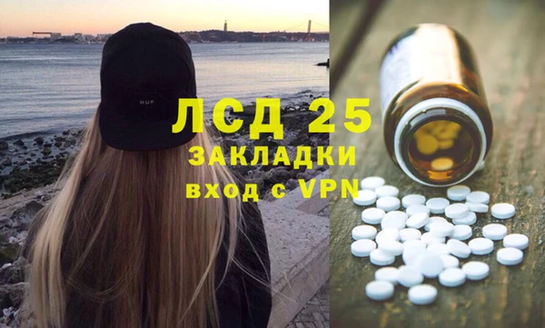 шишки Арсеньев