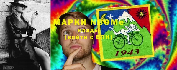 шишки Арсеньев
