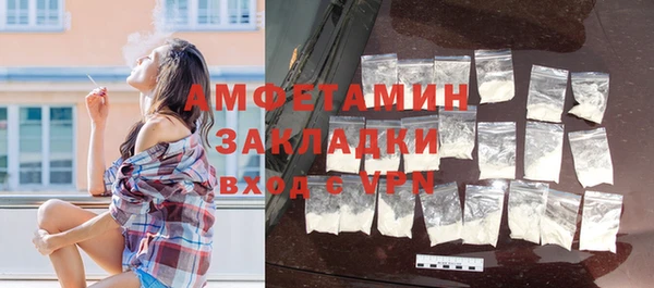 сатива Аркадак