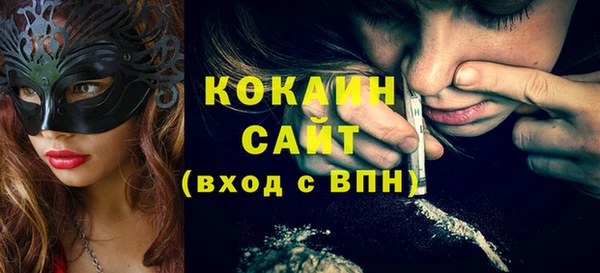 сатива Аркадак